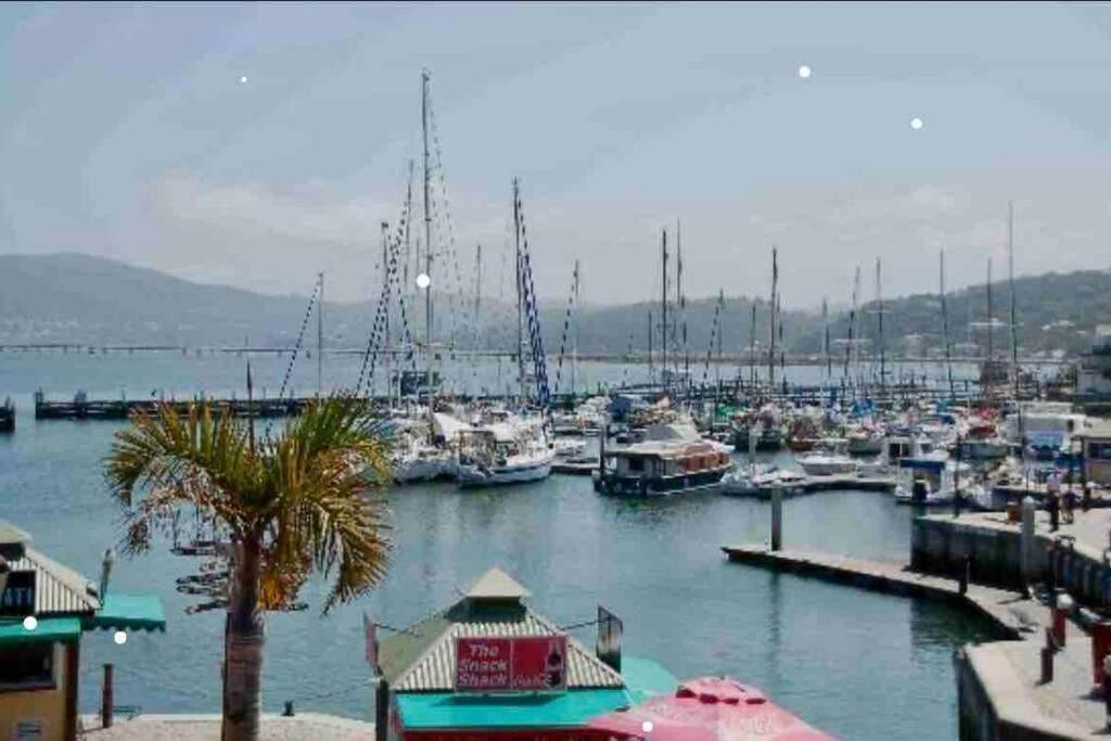 דירות Perfect Knysna Getaway - Little Nest Studio מראה חיצוני תמונה