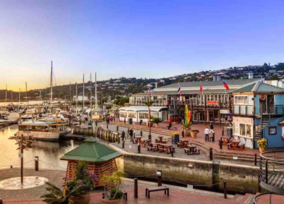 דירות Perfect Knysna Getaway - Little Nest Studio מראה חיצוני תמונה